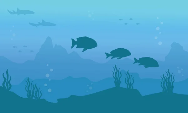 Silueta de pescado sobre fondo submarino — Vector de stock