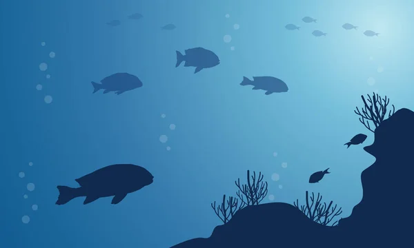 Silueta de peces en el paisaje azul de la belleza del mar — Vector de stock