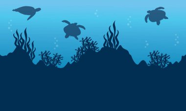 Kaplumbağa ve güzellik resif manzara siluet