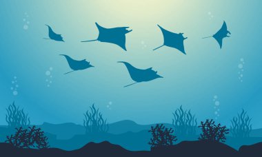 Vektör çizim stingray güzellik deniz manzara