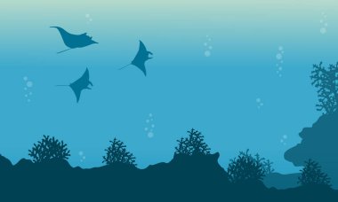 Güzellik manzara stingray ile sualtı