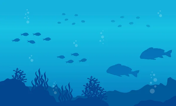 Силуэт рыбы на морском ландшафте — стоковый вектор