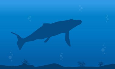 Balinanın üzerinde mavi deniz silüeti