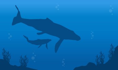 Balina okyanus manzara siluet