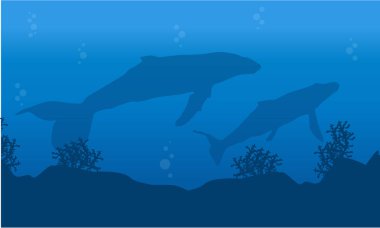 Balinanın üzerinde sualtı manzara siluet