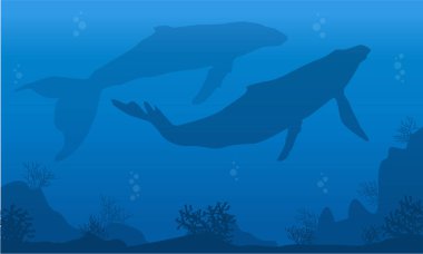 Mavi deniz üzerinde iki balina silüeti