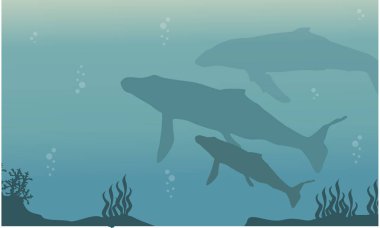 Manzara balina okyanus siluet