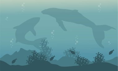 Okyanus manzara üzerinde büyük balina silüeti