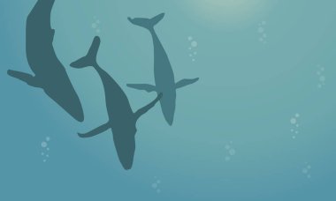 Balina okyanus koleksiyonu manzara siluet