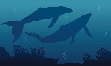 İki büyük balina siluetleri peyzaj