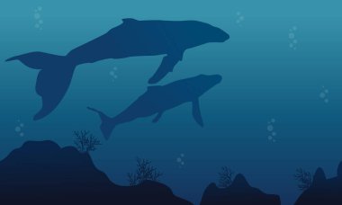 Balina ve resif manzara siluet