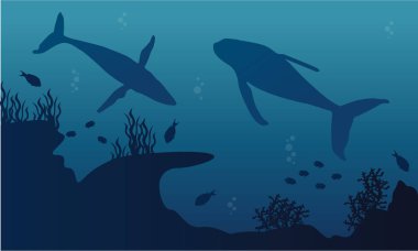 Büyük balina sualtı manzara siluet