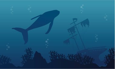 Balina ve gemi silueti manzara