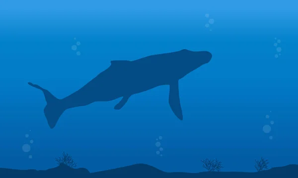 Silueta de ballena sobre mar azul — Vector de stock