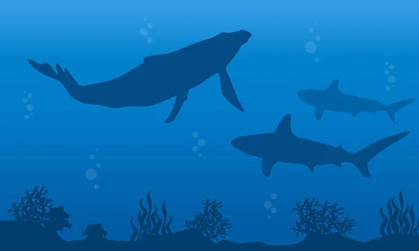 Silhouette di balena e squalo sul paesaggio oceanico — Vettoriale Stock