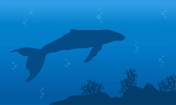 Silueta de una ballena en el paisaje oceánico — Vector de stock