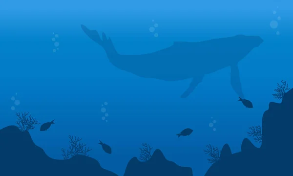 Paisaje de grandes siluetas de ballenas y peces — Vector de stock