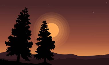 Ladin ağacı sahne siluet