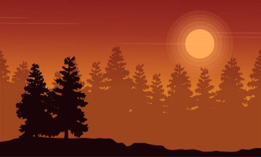 Günbatımı manzara Ladin ormanı silüeti