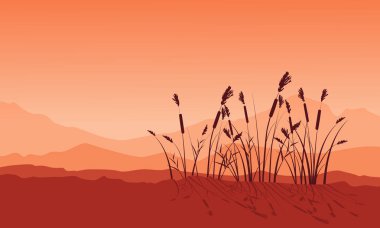 Kaba çim siluetleri güzellik manzara