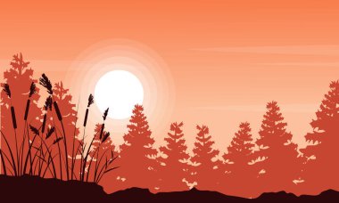 Kaba ot ve Ladin orman manzara siluet