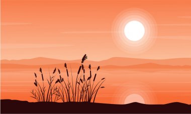 Dağ manzarası, kaba çim güzellik yatay