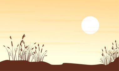 Çimenlerin üzerinde tepe manzara siluet