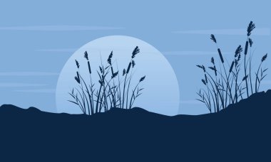 Ay manzara ile kaba çim silüeti