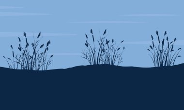 Kaba çimenlerin üzerinde tepe manzara siluet