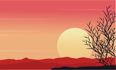 Sabah sahne çimlere silüeti