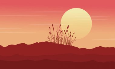 Çöl sabah sahne çim ile silüeti