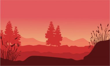 Çöl Ladin peyzaj ile silüeti