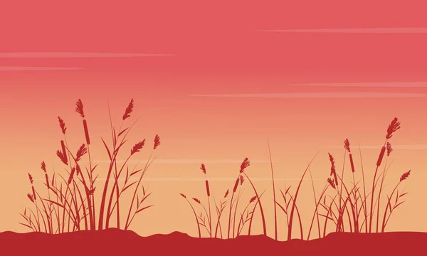 O wschodzie słońca z grubej trawy dekoracje sylwetki — Wektor stockowy