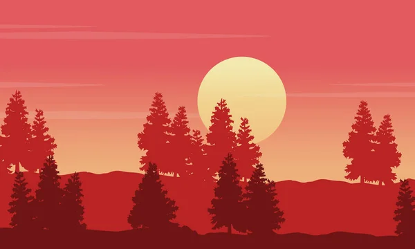 Silhueta de abeto na colina ao pôr do sol cenário —  Vetores de Stock