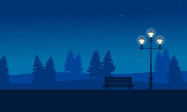 Gece bahçe sahne sokak lambası ile