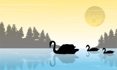 Kuğu Gölü sahne üzerinde silüeti