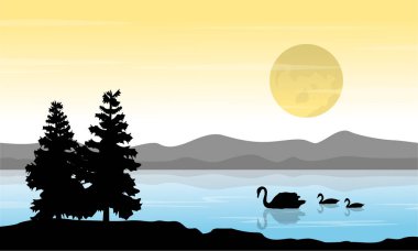 nehir kuğu sahne üzerinde gündoğumu