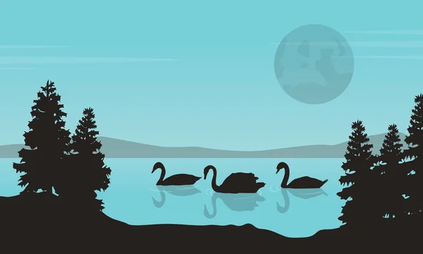 Collection of swan on lake landscape — Stock Vector