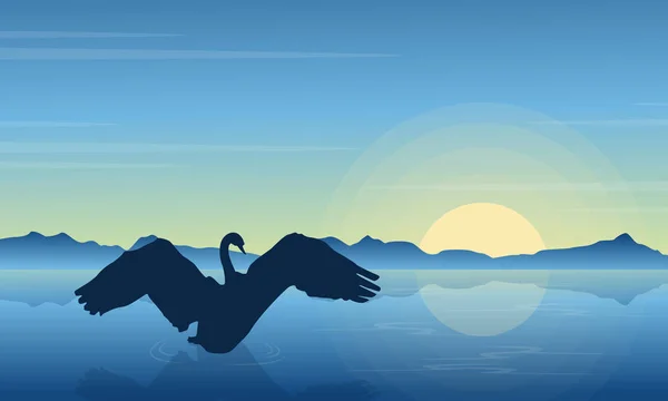 Silhueta de cisne no lago ao nascer do sol —  Vetores de Stock