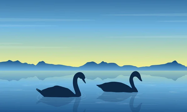 Swan on lake at sunrise scenery — Stock Vector
