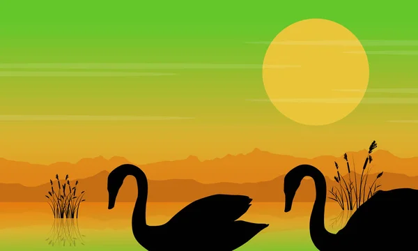 Silhueta de cisne ao nascer do sol cenário de beleza — Vetor de Stock