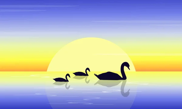 Paisagem de cisne no lago ao pôr-do-sol —  Vetores de Stock