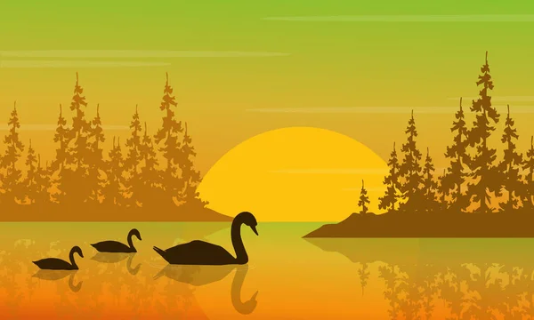 Ilustração vetorial do cisne na paisagem do nascer do sol — Vetor de Stock