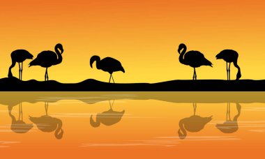 Siluet flamingo manzara ile nehir