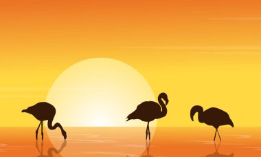 Gün batımı göl sahnesinde Flamingo'da