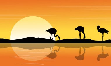 Nehir sahne siluet Flamingo'da Günbatımı ile