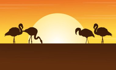Gün batımı flamingo sahne siluetleri