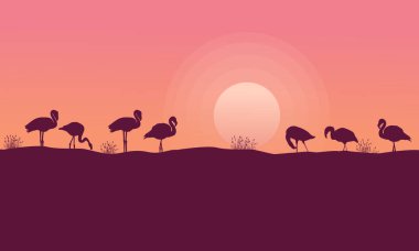Güzellik nasıldır flamingo siluetleri koleksiyonu
