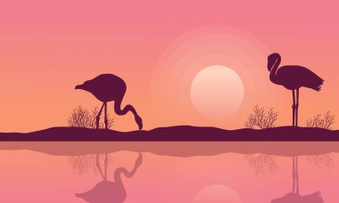 Göl manzara ile flamingo siluet