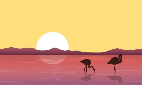 Lake scène met silhouet flamingo — Stockvector